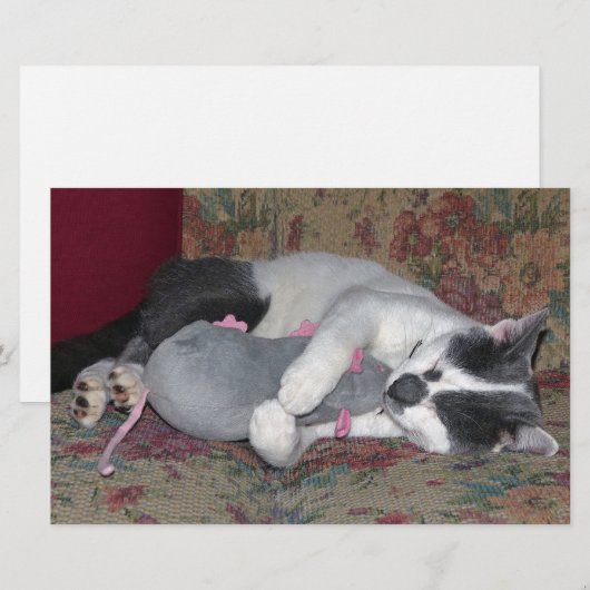 眠っている子猫 便箋 (正面/裏面)