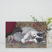 眠っている子猫 便箋 (スタンド正面)