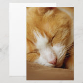 眠っている子猫 便箋 (正面/裏面)