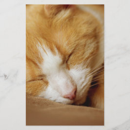 眠っている子猫 便箋