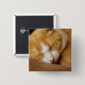 眠っている子猫 缶バッジ (正面&裏面)