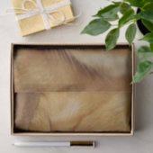 眠っている子猫 薄葉紙 (ギフト)