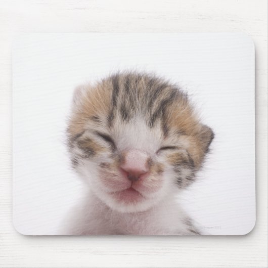 眠っている子猫、頭の近く マウスパッド (正面)