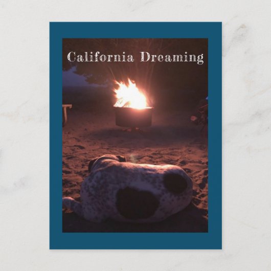 眠っている犬のカルビン ポストカード (正面)