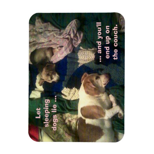 眠っている犬を横に置く/ソファで終わる3x4磁石 マグネット (縦)