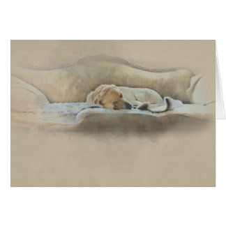 眠っている犬