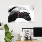 眠っている犬 ポスター (ホームオフィス)