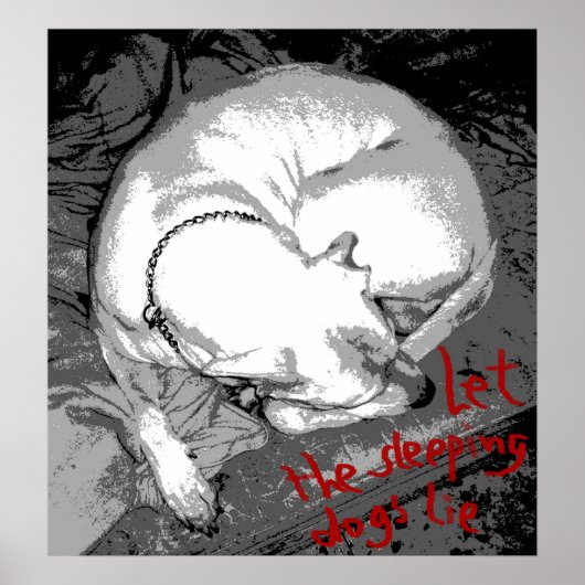 眠っている犬（ポスター） ポスター (正面)