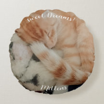 眠っている猫の写真、表と裏