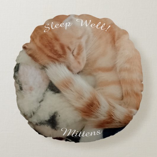 眠っている猫の写真、表と裏 ラウンドクッション (正面)