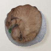 眠っている猫の写真、表と裏 ラウンドクッション (裏面)