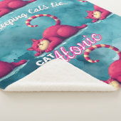 眠っている猫をカタトニックなシェルパ毛布で寝かせる シェルパブランケット (3/4)