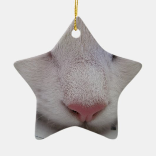眠っている猫 セラミックオーナメント (正面)