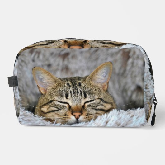 眠っている猫 ドップキット (正面)