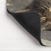 眠っている猫 マウスパッド (コーナー)