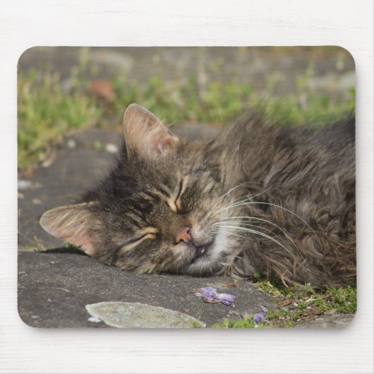 眠っている猫 マウスパッド (正面)