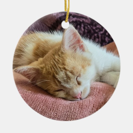眠っている生姜の子猫 セラミックオーナメント (正面)