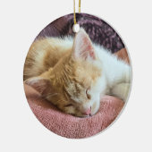 眠っている生姜の子猫 セラミックオーナメント (左)