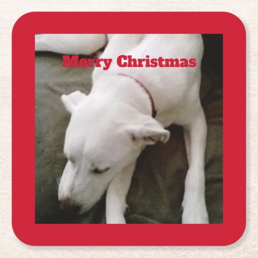 眠っている白い子犬のクリスマス スクエア スクエアペーパーコースター (正面)
