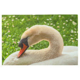 眠っている白鳥 メタルプリント