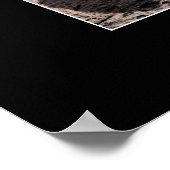 眠っている虎を置く ポスター (角)