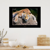 眠っている虎を置く ポスター (キッチン)