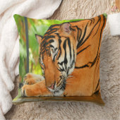 眠っている虎 クッション (ブランケット)