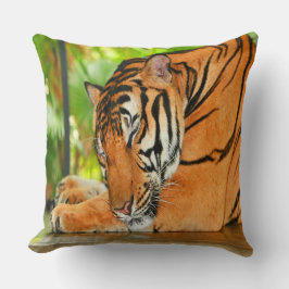 眠っている虎 クッション