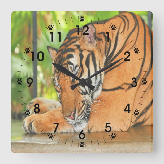 眠っている虎 スクエア壁時計 (正面)