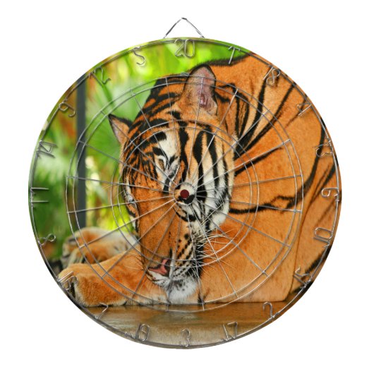 眠っている虎 ダーツボード (正面)