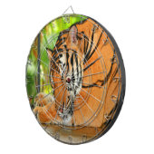 眠っている虎 ダーツボード (正面右)