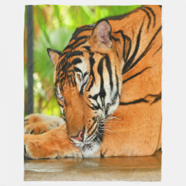 眠っている虎 フリースブランケット