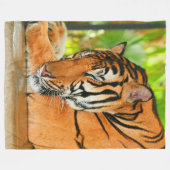 眠っている虎 フリースブランケット (正面(横))