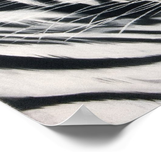 眠っている虎 ポスター (角)