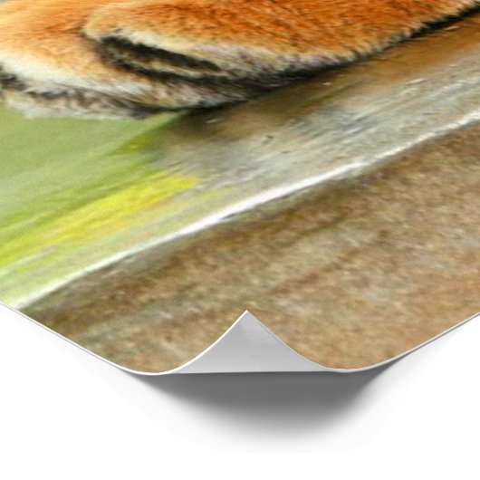 眠っている虎 ポスター (角)