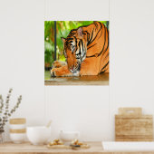 眠っている虎 ポスター (キッチン)