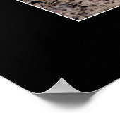 眠っている虎 ポスター (角)