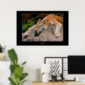 眠っている虎 ポスター (ホームオフィス)