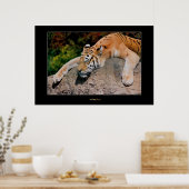 眠っている虎 ポスター (キッチン)