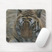 眠っている虎 マウスパッド (マウス)