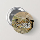 眠っている虎 缶バッジ (正面&裏面)