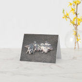 眠っている豚 カード (黄色い花)