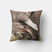 眠っている豚 クッション (裏面)