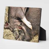 眠っている豚 フォトプラーク (側面)