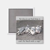 眠っている豚 マグネット (正面/裏面)