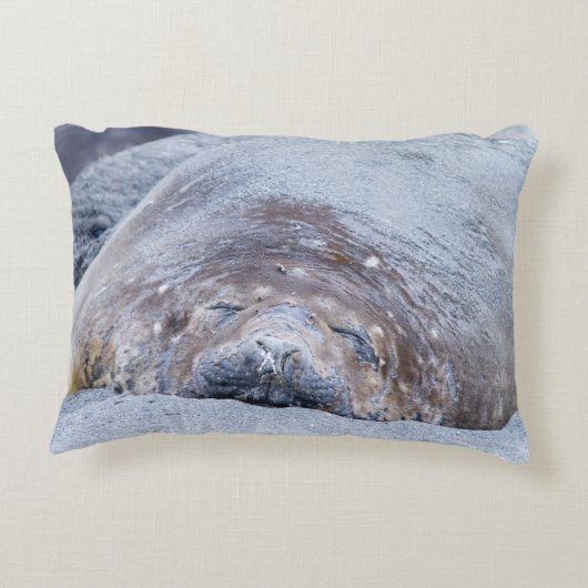 眠っている象のアザラシ アクセントクッション (裏面)