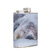 眠っている象のアザラシ フラスク (右)