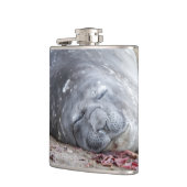 眠っている象のアザラシ フラスク (左)