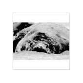 眠っている象のアザラシ ラバースタンプ (インプリント)