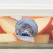 眠っている象のアザラシ ラベル (貼付)